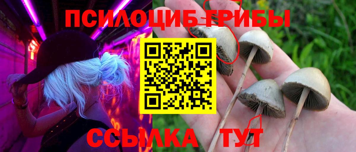 Псилоцибиновые грибы мицелий Юрга