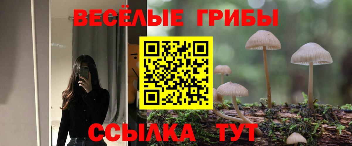 Юрга  Псилоцибиновые грибы Psilocybine cubensis  где продают   Вход с VPN 