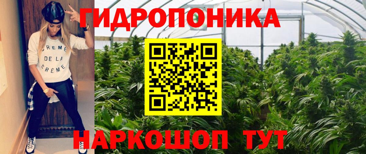 Марихуана гибрид Юрга
